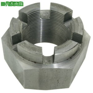 ��SUNCO �a�t���i�b�g(���`(2�� �ז� M45�z�\��1.5 (1�{��)�k�i��:N0000C260450000000�l�y5006123:0�z[�����ʓr���ς�][�f�O���][�X�����s��]