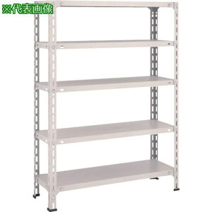 ��TRUSCO �X�`�[�����b�N �y�ʒI�J���^ W875XD300XH1200 5�i �l�I�O���[�k�i��:43V15�l�y5038553:0�z[����DS][�X�����s��]