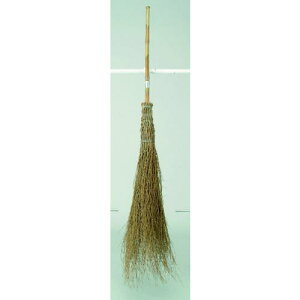 c z|  20{ki:54507ly5041479:0z[@lEƏ][O][Xs]