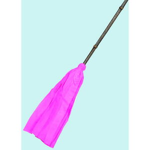 c z@͂ki:52010ly5041483:0z[ʓrς][fO][Xs]