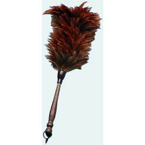 c nfBH͂ ki:53020ly5042997:0z[ʓrς][fO][Xs]