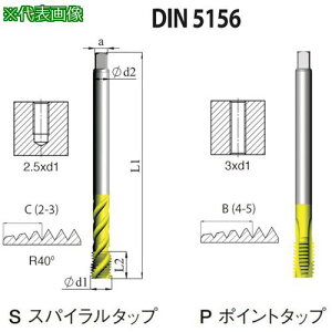 NOGA DIN-5156 ʗpXpC^bvG1/2-14 XT5s3{tki:SD5156CG125XTly5051241×3:0z[ʓrς][fO][Xs]
