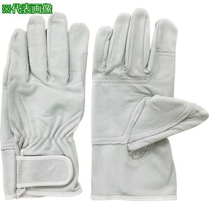 bL[[J[ vNXgW[ 705 3Lki:7053Lly5060175:0z[Xs]