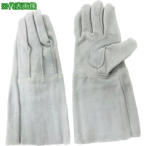 bL[[J[ nڗpv 5{w (OD) 605 t[ki:605ly5060219:0z[Xs]