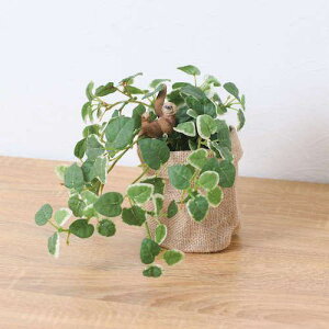 O[NX v~AT|bgi}Pm S24cmki:6300036525ly5061912:0z[ʓrς][@lEƏ][O][Xs]