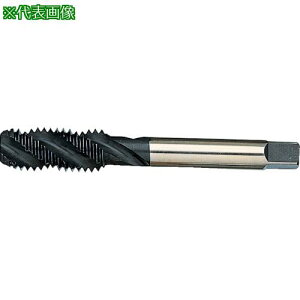 ��ISF �X�p�C�����^�b�v ���j�t�@�C�˂��E���� NO.5NC40�k�i��:SPTNO.5NC40�l�y5082676:0�z[�����ʓr���ς�][�f�O���][�X�����s��]