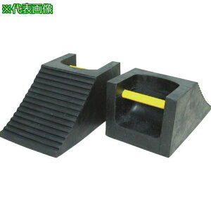 IWA ԗ֎~  t  200×100mmki:20SD00RSly5091231:0z[Xs]