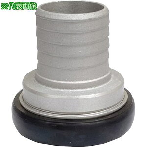 IWA A~ 쎮JbvO ki:36AB065Aly5096008:0z[ʓrς][fO][Xs]