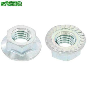 ��SUNCO �N����-�g �t�����WN(S�t(�I�B M6 (10X13 (150�{����)�k�i��:N000035K0060000002150P�l�y5115130:0�z[�����ʓr���ς�][�f�O���][�X�����s��]