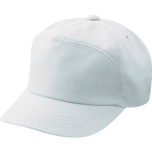 ~hS yALbv TC01 Vo[O[ Mki:TC01Mly5141056:0z[ʓrς][fO][Xs]