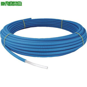 I_쏊 ˋ|G` RQ[gC[W[J| u[ 13A 60mki:PEX13CCBY60ly5158553:0z[Xs]