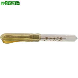 ��SUNCO E�T�[�g(�A�Q�^�b�v M2X0.40 (1�{����)�k�i��:N000TV3000200000001P�l�y5174880:0�z[�����ʓr���ς�][�f�O���][�X�����s��]