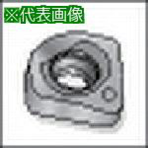 ���C�X�J�� ���i 80°�H�`�V�[�g�s2���t�k�i��:TCX4�l�y5217601×2:0�z[�����ʓr���ς�][�f�O���][�X�����s��]