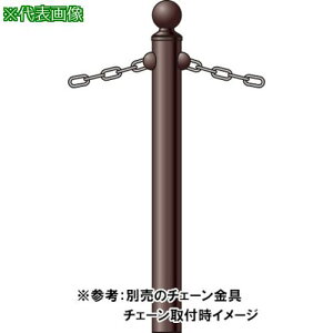 ϐ |^Cv(`F[)VeB^CvԎ~ߕ(M{Vx) ̂݁ki:CR1189NAKATYUUly5232159:0z[ʓrς][@lEƏ][O][Xs]
