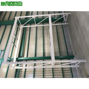 ���o���|�� �p���b�g���b�N 2000kg 4000×2500×1100 �r�[��2�i �P�� �z���C�g�O���[�k�i��:GP24025D112TW�l�y5260224:0�z[�����ʓr���ς�][�@�l�E���Ə�����][�O����][�X�����s��]