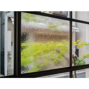 P~J KXtB C-09 RYUKYU 1010mm×20mki:FG1010C09Fly5352462:0z[ʓrς][fO][Xs]