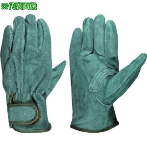 xmO[u EX-380 3P Ms10Pktki:5367ly5366487×10:0z[ʓrς][fO][Xs]