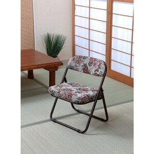 TASSCOM ܂߂a~`FA Su 2rgki:TAN2102GOBly5370801:0z[@lEƏ][O][Xs]