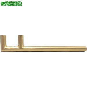 PROMOTE h ی^ounh 300MMki:BBH300Rly5387100:0z[ʓrς][fO][Xs]