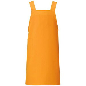 ACgX ăGv IWki:HS2506063Fly5389035:0z[ʓrς][fO][Xs]