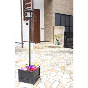 ��TASSCOM �l�p�����t���\�[���[�X�� 1���k�i��:TAN7931�l�y5455398:0�z[�@�l�E���Ə�����][�O������][�X�����s��]