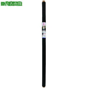 MATAI jRjR؉}`  135cm×50ms12{tki:DDHC08523ly5487140×12:0z[ʓrς][@lEƏ][O][Xs]