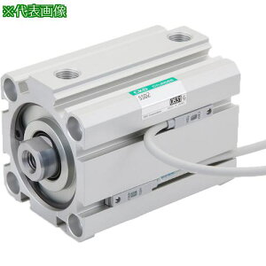 ��CKD �X�[�p�[�R���p�N�g�V�����_ �X�C�b�`�p�}�O�l�b�g���� SSD2-L�V���[�Y �X�C�b�`�t���k�i��:SSD2L4050T2VD�l�y5503076:0�z[�����ʓr���ς�][�f�O���][�X�����s��]