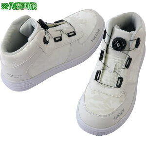 ACgX _CZ[teB[V[Y zCg 24.5ki:AZ5167000124.5ly5528223:0z[ʓrς][fO][Xs]