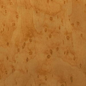 O[NX _CmbN EbhOC WG-763 o[YACCv  1220mmx50mki:6300041201ly5551988:0z[@lEƏ][][Xs]