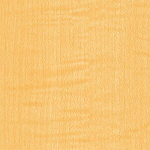 O[NX _CmbN EbhOC WG-832 Cv  1220mmx1mki:6300041206ly5551997:0z[ʓrς][@lEƏ][O][Xs]