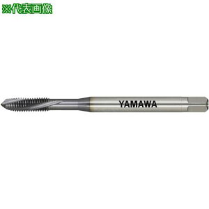 } Z-PRO dxYf|pʂ茊pXpC^bv MHSL P3 M4X0.7ki:MHSLP3M4X0.7ly5552045:0z[Xs]