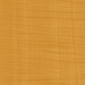 O[NX _CmbN EbhOC WG-709 VJA  1220mmx1mki:6300041200ly5556662:0z[ʓrς][@lEƏ][O][Xs]