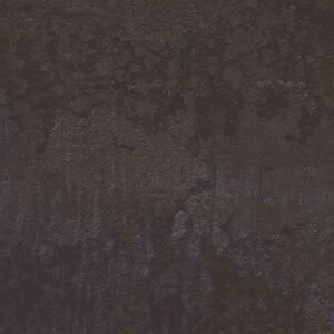 ���O���[���N���X �_�C�m�b�N �I�L�V�_�C�Y���^�� FA-1531 1220mmx50m�k�i��:6300041259�l�y5556672:0�z[�@�l�E���Ə�����][������][�X�����s��]