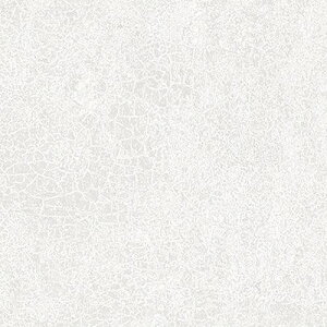 O[NX _CmbN Z~bN/^C AE-1634 1220mmx1mki:6300041403ly5558356:0z[ʓrς][@lEƏ][O][Xs]