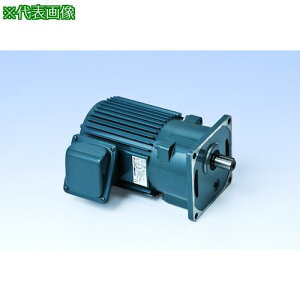 ���V�O�}�[ ������IE3�A���s���O��750W���t�����W��t�`�M�A���[�^�[ ������1/20�k�i��:TMK208E20�l�y5561008:0�z[�@�l�E���Ə�����][�O������][�X�����s��]