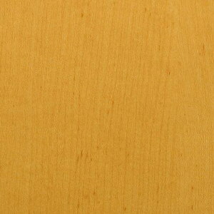 O[NX _CmbN EbhOC WG-831 Cv  1220mmx1mki:6300041204ly5561470:0z[ʓrς][@lEƏ][O][Xs]