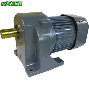 ���V�O�}�[ ������IE3�A���s���O��1500W�r��t�`�u���[�L�c�L�M�A���[�^�[ ������1/60�k�i��:TMLB215E60�l�y5564146:0�z[�@�l�E���Ə�����][�O������][�X�����s��]