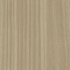 O[NX _CmbN EbhOC WG-1703 EH[ibg  1220mmx50mki:6300041045ly5566201:0z[@lEƏ][][Xs]