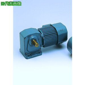 ���V�O�}�[ ������IE3�A���s���󎲎O��1500W�r��t�`�M�A���[�^�[ ������1/10�k�i��:TMHL15E10�l�y5567382:0�z[�@�l�E���Ə�����][�O������][�X�����s��]