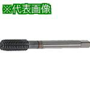 ���c��䐻�쏊 �_�u���^�t���b�g M12X1.75 B8 47032�k�i��:WTFM12X1.75B8�l�y5599840:0�z[�X�����s��]