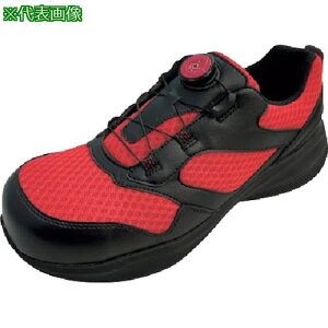 IGNIO _C[NV[Y1003 ubNbh27.0cmki:IGS1003TGFBKRD27.0ly5635265:0z[Xs]