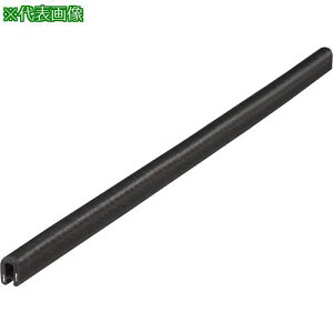 ��IWATA �g���� 750�V���[�YTPE 19M�k�i��:750-24-B-3T-L19�l�y5636794:0�z[�@�l�E���Ə�����][������][�X�����s��]
