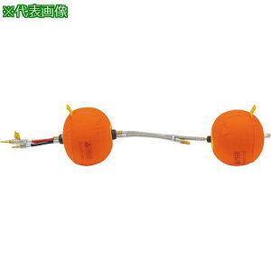 Asada p[W_300mm (12)ki:SA012ly5641104:0z[@lEƏ][O][Xs]