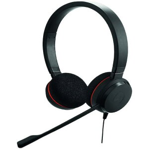 Jabra Jabra EVOLVE 20 MS Stereo USB-Cki:4999823189ly5657480:0z[@lEƏ][O][Xs]