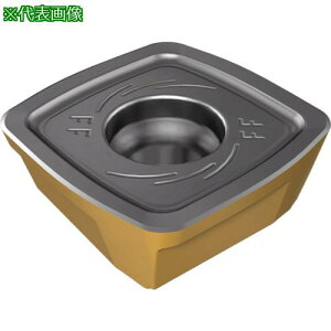 ���C�X�J�� �w���N�A�b�h �`�b�v SDMT-FF IC5600�s10���t�k�i��:SDMT1205R16TFF�l�y5704813×10:0�z[�����ʓr���ς�][�f�O���][�X�����s��]