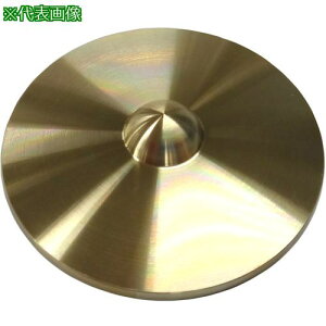 RmG ʗpe ی^ _p50ki:SSBSLVP50ly5710799:0z[ʓrς][fO][Xs]