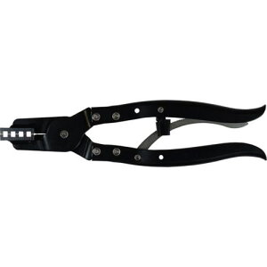  z[XohvC[ki:LB603PSly5715584:0z[ʓrς][fO][Xs]