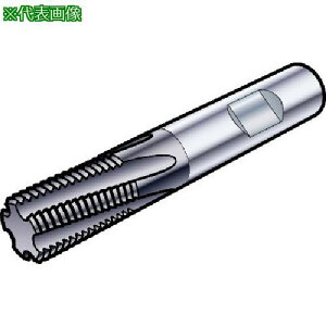 ��SANDVIK �R���~��CoroMill[[R��]]Plura �X���b�h�~�����O���H�p���d�G���h�~��(730) 1630�k�i��:R217.14C060125AK17N�l�y5747686:0�z[�����ʓr���ς�][�f�O���][�X�����s��]