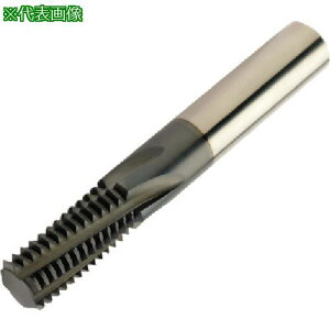 ��SANDVIK �X���b�h�~��(730) 1620�k�i��:R217.15080150AC16M�l�y5747821:0�z[�����ʓr���ς�][�f�O���][�X�����s��]