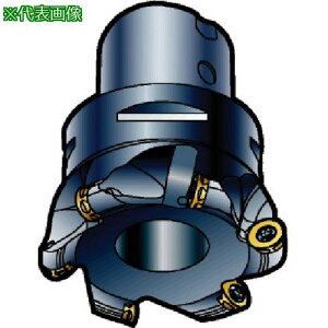 ��SANDVIK �R���~��300 ���ʃt���C�X�J�b�^�[(440)�k�i��:R300040Q1608H�l�y5749956:0�z[�����ʓr���ς�][�f�O���][�X�����s��]